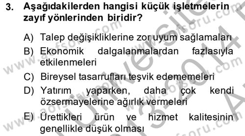 Küçük İşletme Yönetimi Dersi 2013 - 2014 Yılı (Vize) Ara Sınav Soruları 3. Soru
