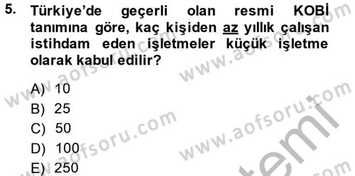 Küçük İşletme Yönetimi Dersi 2013 - 2014 Yılı (Vize) Ara Sınav Soruları 5. Soru