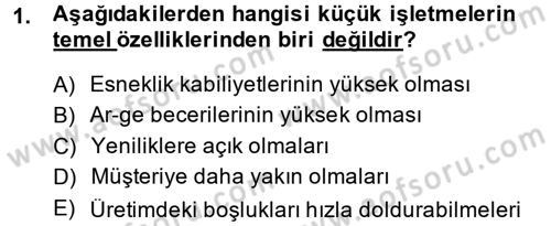 Küçük İşletme Yönetimi Dersi 2013 - 2014 Yılı (Final) Dönem Sonu Sınav Soruları 1. Soru