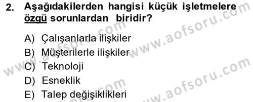 Küçük İşletme Yönetimi Dersi 2013 - 2014 Yılı (Final) Dönem Sonu Sınav Soruları 2. Soru