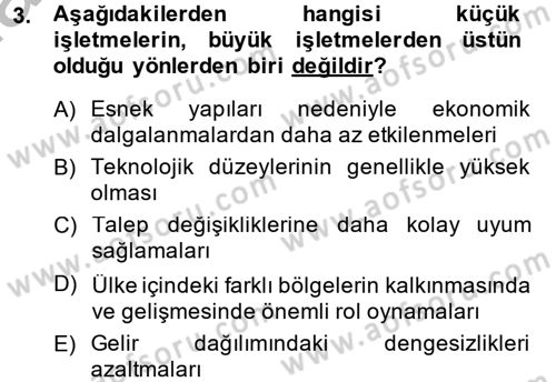 Küçük İşletme Yönetimi Dersi 2014 - 2015 Yılı (Vize) Ara Sınav Soruları 3. Soru