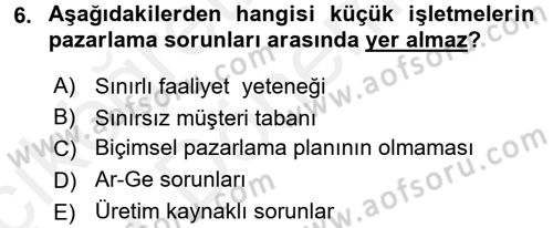 Küçük İşletme Yönetimi Dersi 2015 - 2016 Yılı (Vize) Ara Sınav Soruları 6. Soru