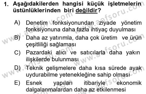 Küçük İşletme Yönetimi Dersi 2016 - 2017 Yılı (Vize) Ara Sınav Soruları 1. Soru