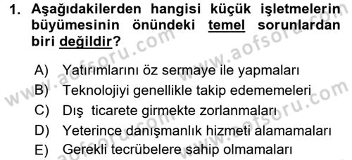 Küçük İşletme Yönetimi Dersi 2016 - 2017 Yılı (Final) Dönem Sonu Sınav Soruları 1. Soru