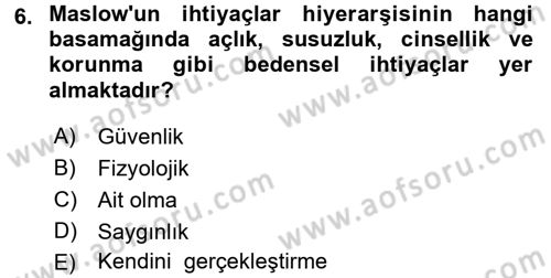 Küçük İşletme Yönetimi Dersi 2016 - 2017 Yılı (Final) Dönem Sonu Sınav Soruları 6. Soru
