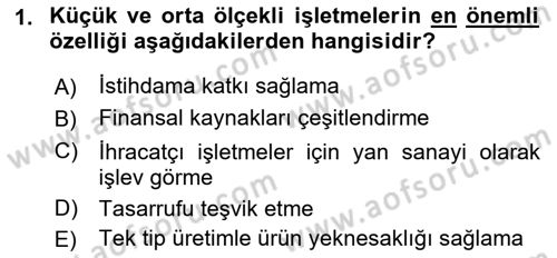 Küçük İşletme Yönetimi Dersi 2021 - 2022 Yılı (Vize) Ara Sınav Soruları 1. Soru