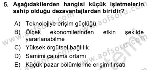 Küçük İşletme Yönetimi Dersi 2023 - 2024 Yılı (Vize) Ara Sınav Soruları 5. Soru