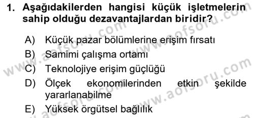Küçük İşletme Yönetimi Dersi 2023 - 2024 Yılı (Final) Dönem Sonu Sınav Soruları 1. Soru