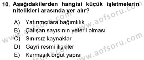 Küçük İşletme Yönetimi Dersi 2024 - 2025 Yılı (Vize) Ara Sınav Soruları 10. Soru