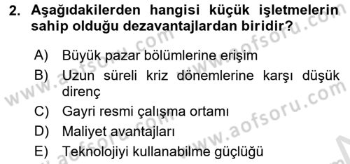 Küçük İşletme Yönetimi Dersi 2024 - 2025 Yılı (Vize) Ara Sınav Soruları 2. Soru
