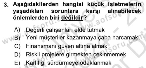Küçük İşletme Yönetimi Dersi 2024 - 2025 Yılı (Vize) Ara Sınav Soruları 3. Soru