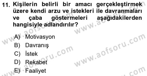 Küçük İşletme Yönetimi Dersi 2024 - 2025 Yılı (Final) Dönem Sonu Sınav Soruları 11. Soru