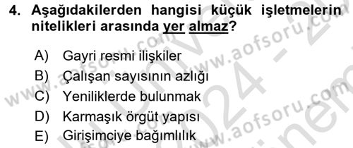 Küçük İşletme Yönetimi Dersi 2024 - 2025 Yılı (Final) Dönem Sonu Sınav Soruları 4. Soru