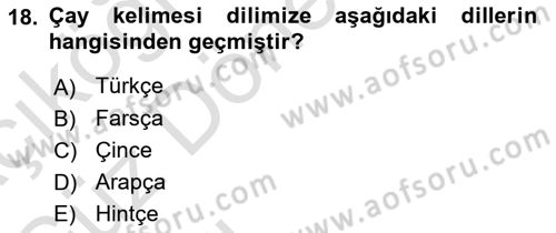 Türkiye’nin Somut Olmayan Kültürel Mirası Dersi Ara Sınavı Deneme Sınav Soruları 18. Soru