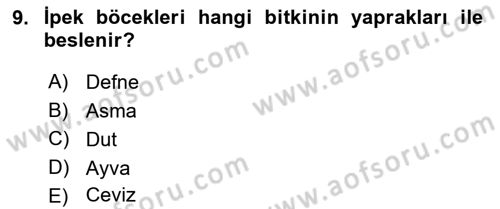Türkiye’nin Somut Olmayan Kültürel Mirası Dersi 2023 - 2024 Yılı (Final) Dönem Sonu Sınav Soruları 9. Soru