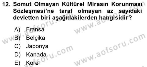 Türkiye’nin Somut Olmayan Kültürel Mirası Dersi 2023 - 2024 Yılı Yaz Okulu Sınav Soruları 12. Soru