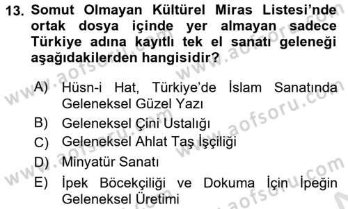 Türkiye’nin Somut Olmayan Kültürel Mirası Dersi 2023 - 2024 Yılı Yaz Okulu Sınav Soruları 13. Soru