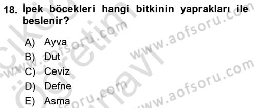 Türkiye’nin Somut Olmayan Kültürel Mirası Dersi 2023 - 2024 Yılı Yaz Okulu Sınav Soruları 18. Soru