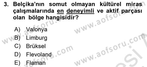 Türkiye’nin Somut Olmayan Kültürel Mirası Dersi 2023 - 2024 Yılı Yaz Okulu Sınav Soruları 3. Soru