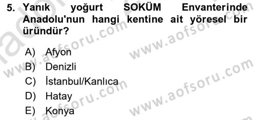 Türkiye’nin Somut Olmayan Kültürel Mirası Dersi 2023 - 2024 Yılı Yaz Okulu Sınav Soruları 5. Soru