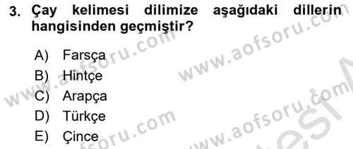 Türkiye’nin Somut Olmayan Kültürel Mirası Dersi 2024 - 2025 Yılı (Final) Dönem Sonu Sınav Soruları 3. Soru