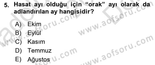 Türkiye’nin Somut Olmayan Kültürel Mirası Dersi 2024 - 2025 Yılı (Final) Dönem Sonu Sınav Soruları 5. Soru