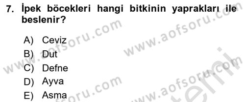 Türkiye’nin Somut Olmayan Kültürel Mirası Dersi 2024 - 2025 Yılı (Final) Dönem Sonu Sınav Soruları 7. Soru
