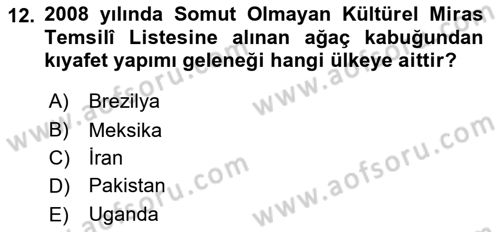 Türkiye’nin Somut Olmayan Kültürel Mirası Dersi 2024 - 2025 Yılı Yaz Okulu Sınav Soruları 12. Soru