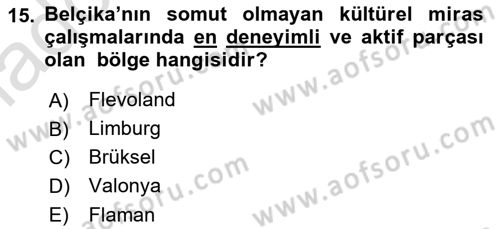 Türkiye’nin Somut Olmayan Kültürel Mirası Dersi 2024 - 2025 Yılı Yaz Okulu Sınav Soruları 15. Soru