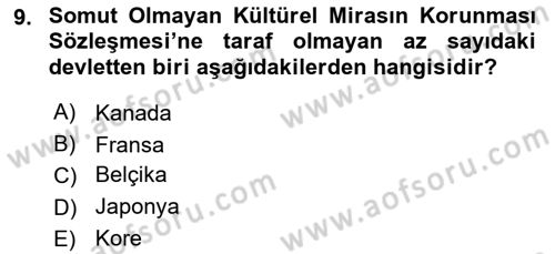 Türkiye’nin Somut Olmayan Kültürel Mirası Dersi 2024 - 2025 Yılı Yaz Okulu Sınav Soruları 9. Soru