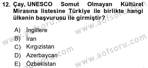 Türkiye’nin Somut Olmayan Kültürel Mirası Dersi 2025 - 2026 Yılı (Vize) Ara Sınav Soruları 12. Soru