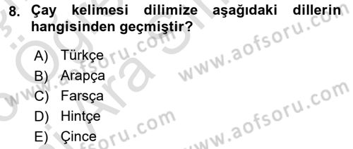Türkiye’nin Somut Olmayan Kültürel Mirası Dersi 2025 - 2026 Yılı (Vize) Ara Sınav Soruları 8. Soru