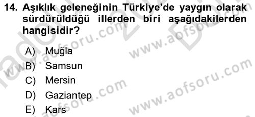 Türkiye’nin Somut Olmayan Kültürel Mirası Dersi 2025 - 2026 Yılı (Final) Dönem Sonu Sınav Soruları 14. Soru