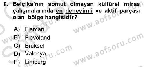 Türkiye’nin Somut Olmayan Kültürel Mirası Dersi 2025 - 2026 Yılı (Final) Dönem Sonu Sınav Soruları 8. Soru