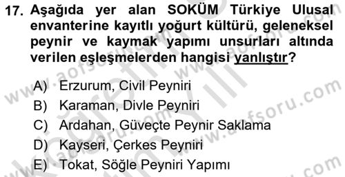 Türkiye’nin Somut Olmayan Kültürel Mirası Dersi 2025 - 2026 Yılı Yaz Okulu Sınav Soruları 17. Soru