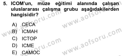 Müzecilik ve Sergileme Dersi 2023 - 2024 Yılı (Final) Dönem Sonu Sınav Soruları 5. Soru