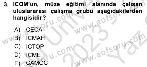 Müzecilik ve Sergileme Dersi 2023 - 2024 Yılı Yaz Okulu Sınav Soruları 3. Soru