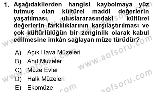 Müzecilik ve Sergileme Dersi 2024 - 2025 Yılı (Vize) Ara Sınav Soruları 1. Soru