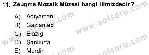 Müzecilik ve Sergileme Dersi 2024 - 2025 Yılı (Vize) Ara Sınav Soruları 11. Soru