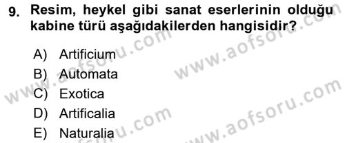 Müzecilik ve Sergileme Dersi 2024 - 2025 Yılı (Vize) Ara Sınav Soruları 9. Soru
