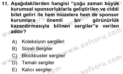Müzecilik ve Sergileme Dersi 2024 - 2025 Yılı Yaz Okulu Sınav Soruları 11. Soru