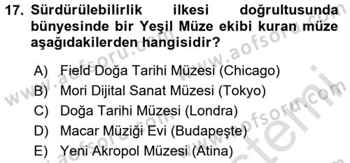 Müzecilik ve Sergileme Dersi 2024 - 2025 Yılı Yaz Okulu Sınav Soruları 17. Soru