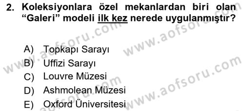 Müzecilik ve Sergileme Dersi 2024 - 2025 Yılı Yaz Okulu Sınav Soruları 2. Soru