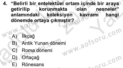 Müzecilik ve Sergileme Dersi 2024 - 2025 Yılı Yaz Okulu Sınav Soruları 4. Soru