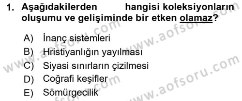 Müzecilik ve Sergileme Dersi 2025 - 2026 Yılı (Vize) Ara Sınav Soruları 1. Soru