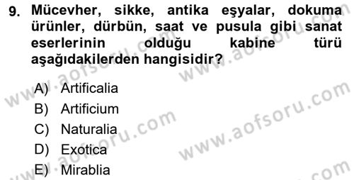 Müzecilik ve Sergileme Dersi 2025 - 2026 Yılı (Vize) Ara Sınav Soruları 9. Soru