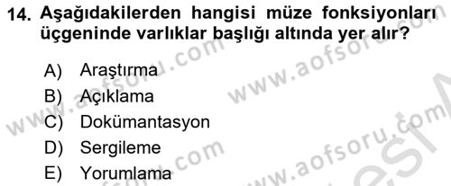 Müzecilik ve Sergileme Dersi 2025 - 2026 Yılı (Final) Dönem Sonu Sınav Soruları 14. Soru