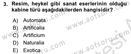Müzecilik ve Sergileme Dersi 2025 - 2026 Yılı (Final) Dönem Sonu Sınav Soruları 3. Soru