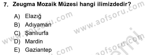 Müzecilik ve Sergileme Dersi 2025 - 2026 Yılı (Final) Dönem Sonu Sınav Soruları 7. Soru