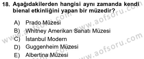 Müzecilik ve Sergileme Dersi 2025 - 2026 Yılı Yaz Okulu Sınav Soruları 18. Soru
